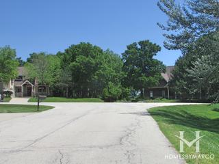 River Orchard subdivision in Cary, IL