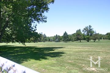 Root Springs subdivision in Cary, IL