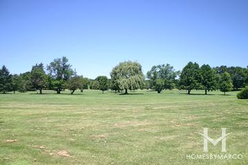 Root Springs subdivision in Cary, IL