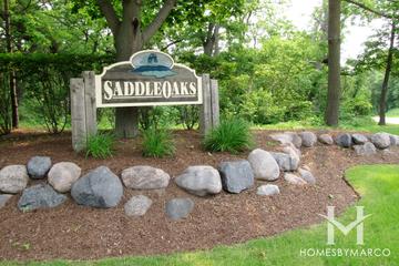 Saddle Oaks