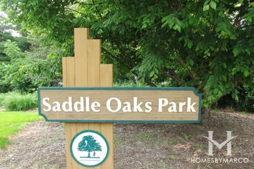 Saddle Oaks subdivision in Cary, IL