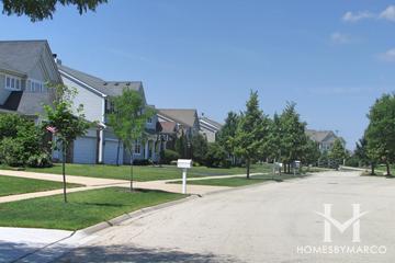 Sterling Ridge subdivision in Cary, IL