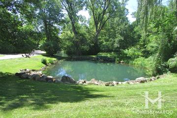 Trout Valley subdivision in Cary, IL