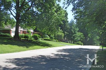 Trout Valley subdivision in Cary, IL