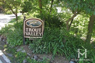 Trout Valley subdivision in Cary, IL