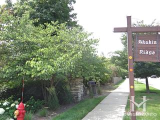 Skokie Ridge