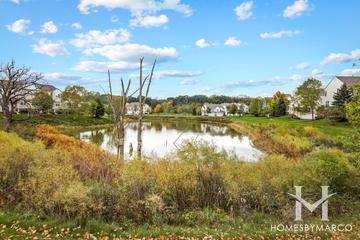 Terra Springs subdivision in Volo, IL
