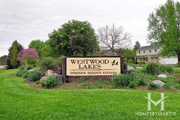 Photos of Westwood Lakes Estates subdivision in Woodstock, IL