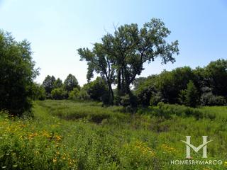 Creekside subdivision in Streamwood, IL