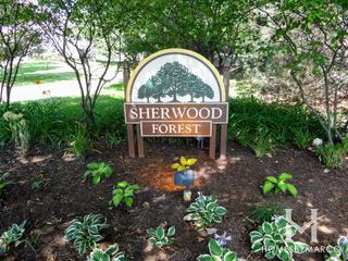 Sherwood Forest