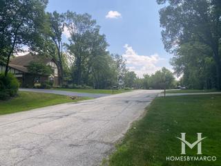 Black Walnut Trails subdivision in Palos Park, IL