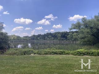 Black Walnut Trails subdivision in Palos Park, IL