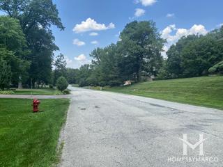 Black Walnut Trails subdivision in Palos Park, IL