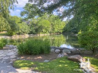 Brook Lane subdivision in Palos Park, IL