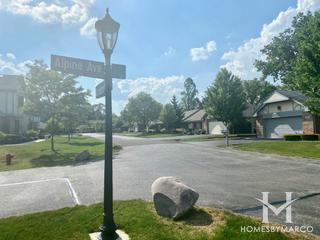 Edelweiss in the Park subdivision in Palos Park, IL