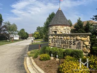 Edelweiss in the Park