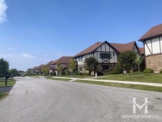 Edelweiss in the Park subdivision in Palos Park, IL