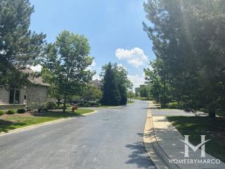 McCord Place subdivision in Palos Park, IL