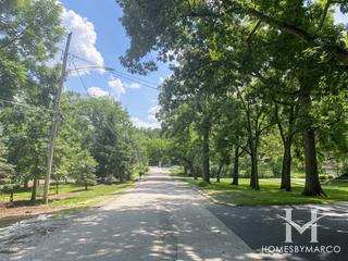Palos Woods subdivision in Palos Park, IL