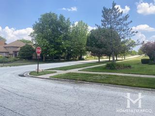 Sandburg Glen subdivision in Palos Park, IL