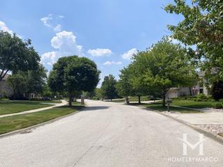 Suffield Woods subdivision in Palos Park, IL