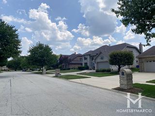Suffield Woods subdivision in Palos Park, IL