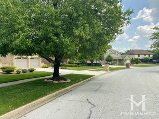 Suffield Woods subdivision in Palos Park, IL