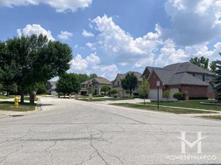 Suffield Woods subdivision in Palos Park, IL