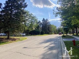 The Trails subdivision in Roselle, IL