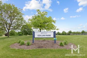 Turnberry Manor subdivision in Roselle, IL