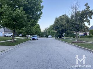 Arbor Ridge subdivision in Lemont, IL