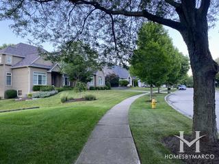 Arbor Ridge subdivision in Lemont, IL