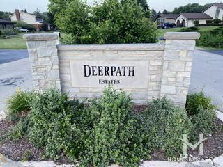 Photos of Deerpath subdivision in Lemont, IL