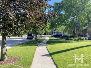 Photos of Firerock Farm subdivision in Lemont, IL