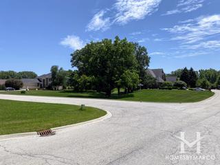 Foxmoor Estates subdivision in Lemont, IL