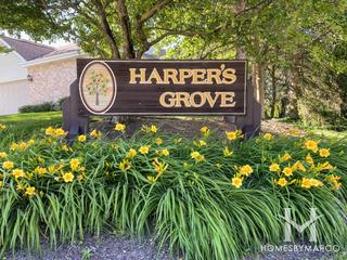 Harpers Grove