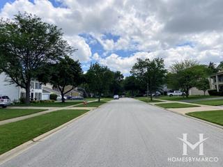 Buttonwood subdivision in Roselle, IL