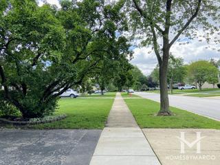 Buttonwood subdivision in Roselle, IL