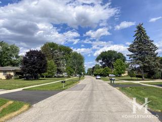 Medinah Spring Hills subdivision in Roselle, IL