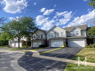 Pembroke Estates subdivision in Roselle, IL