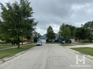 Photos of Rosewood Estates subdivision in Roselle, IL