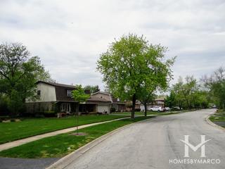 Dolphin Lake subdivision in Homewood, IL
