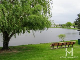 Dolphin Lake subdivision in Homewood, IL