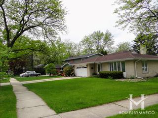 Dolphin Lake subdivision in Homewood, IL