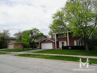 Dolphin Lake subdivision in Homewood, IL