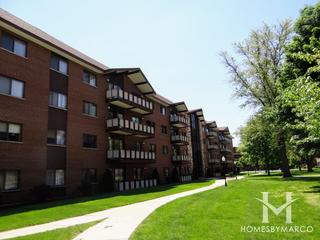 Flosswood subdivision in Homewood, IL