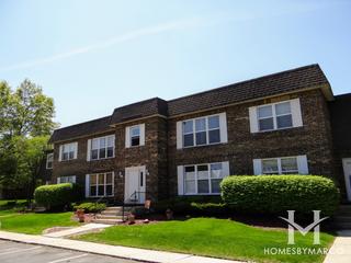Harwood Court subdivision in Homewood, IL