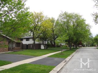 Homewood Estates subdivision in Homewood, IL