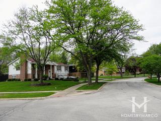 Homewood Estates subdivision in Homewood, IL