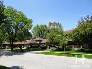 Homewood Terrace subdivision in Homewood, IL
